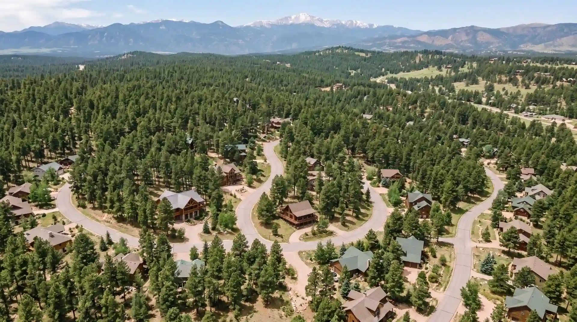 Black Forest Property Management